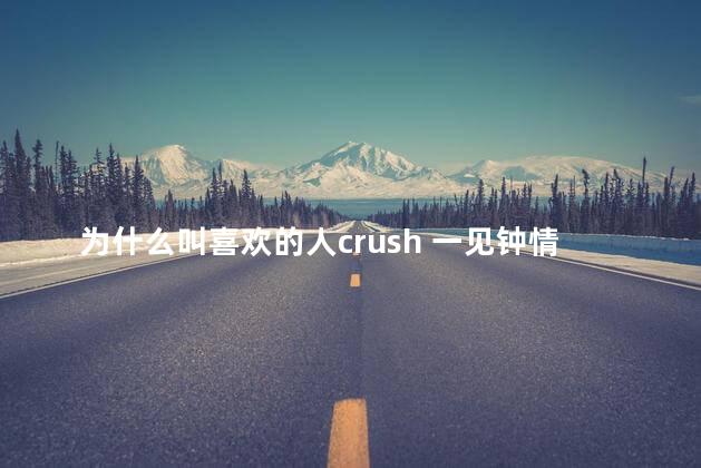 为什么叫喜欢的人crush 一见钟情英文crush